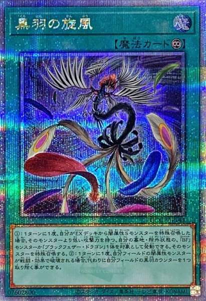 画像1: 〔状態A-〕黒羽の旋風【クォーターセンチュリーシークレット】{QCCP-JP143}《魔法》 (1)