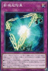状態A-〕M∀LICEPCheshireCat(ロゴ)【シークレット】{26LP-JP018 状態A-〕M∀LICEPCheshireCat(ロゴ)【シークレット】{26LP-JP018
