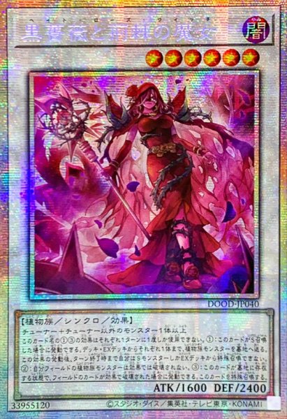 画像1: ☆アジア☆黒薔薇と荊棘の魔女【プリズマティックシークレット】{アジアDOOD-JP040}《シンクロ》 (1)