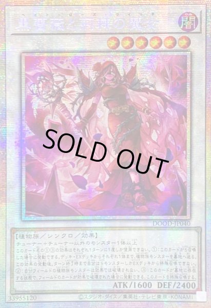 画像1: 〔状態B〕☆アジア☆黒薔薇と荊棘の魔女【プリズマティックシークレット】{アジアDOOD-JP040}《シンクロ》 (1)