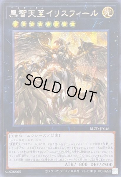 画像1: ☆アジア☆黒智天至イリスフィール【シークレット】{アジアBLZD-JP048}《エクシーズ》 (1)