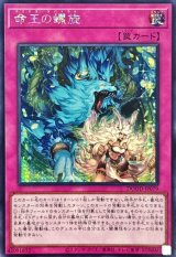 DOOM OF DIMENSIONS - カードラッシュ[遊戯王]