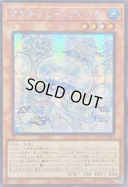 画像1: ☆アジア☆マルチャミープルリア【シークレット】{アジアLOCH-JP046}《モンスター》 (1)