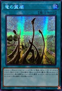 遊戯王☆単品販売可 竜の霊廟 ラー その他☆美品 遊戯王 竜の霊廟 スーパー SD25 3枚 - メルカリ