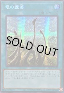 竜の霊廟 - カードラッシュ[遊戯王]