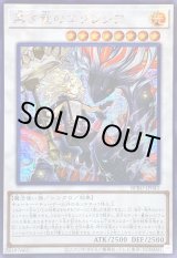 黒き竜のエクレシア - カードラッシュ[遊戯王]