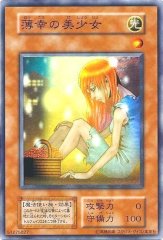 状態B〕カオスソルジャー(初期)【ウルトラ】{-}《儀式》