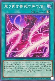 5D’s版　ブラックローズドラゴン　スリーブ　52枚　+オマケ Amazon.co.jp: 遊戯王カード 【GS05-JP009 ブラック・ローズ
