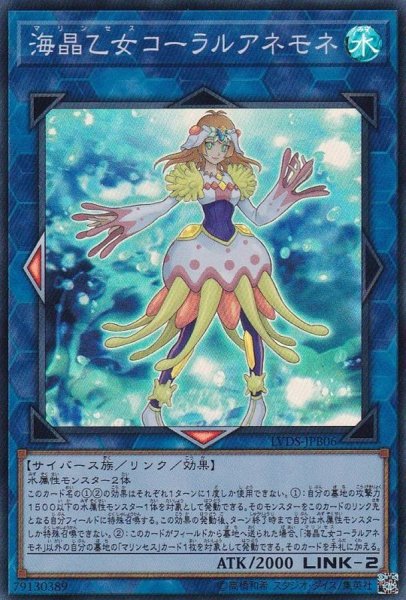 画像1: 〔状態B〕海晶乙女コーラルアネモネ【スーパー】{LVDS-JPB06}《リンク》 (1)