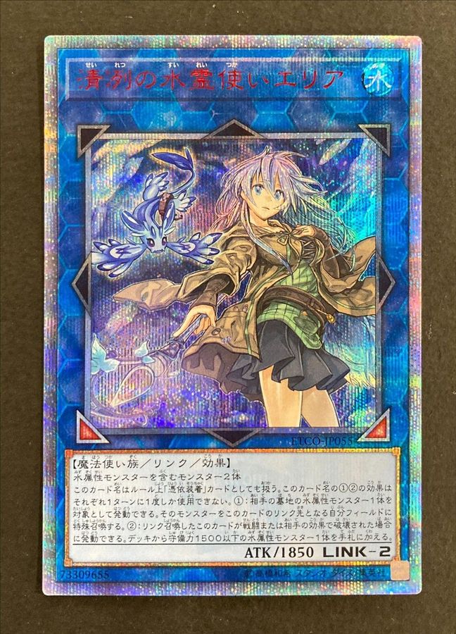 憑依装着エリア 清冽の水霊使いエリア psa10 | www.jarussi.com.br