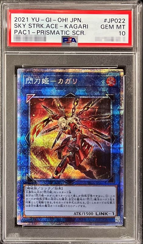 専用遊戯王　ブルーアイズとカガリ絵違いのプレゴル