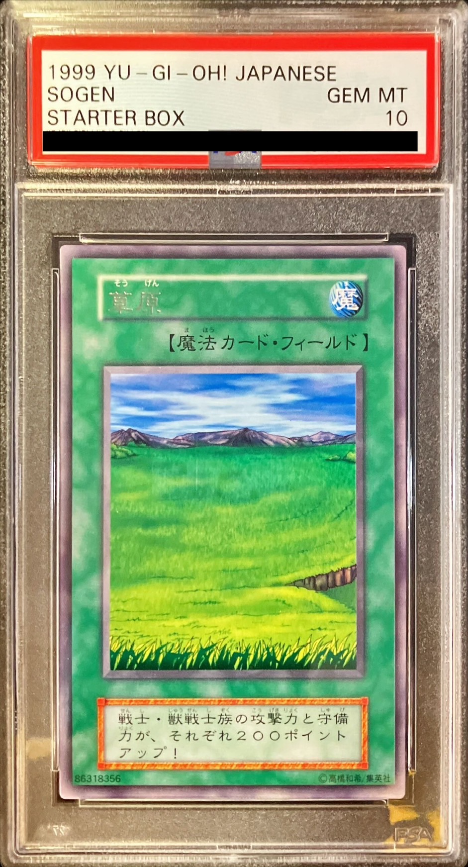 PSA8 遊戯王 氷水 ノーマル