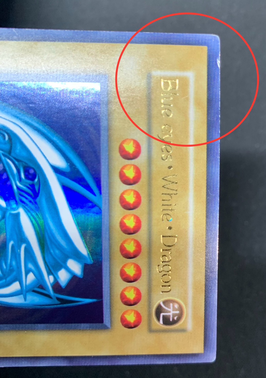 遊戯王 ブルーアイズホワイトドラゴン 英語版