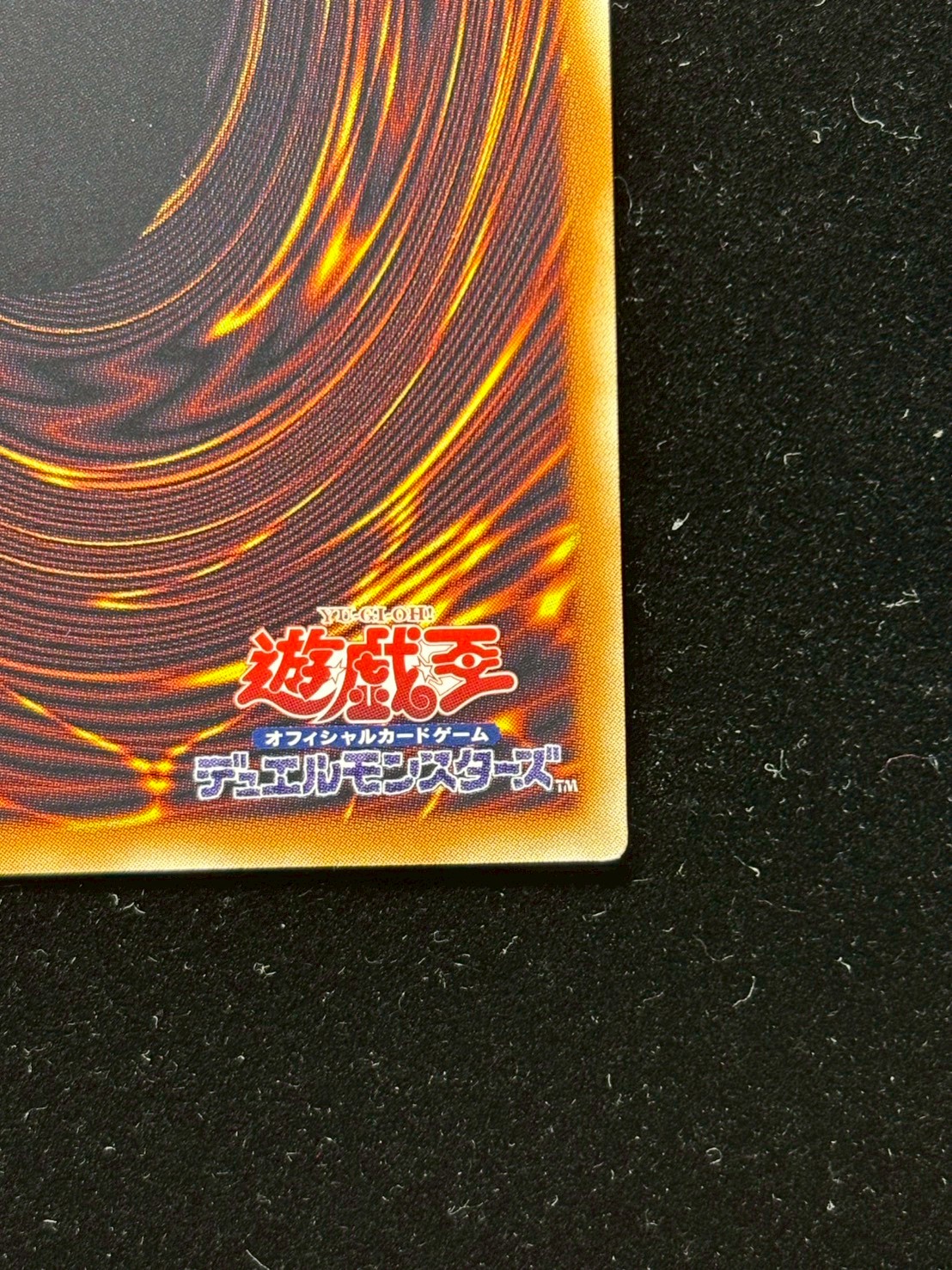 四天の龍オッドアイズペンデュラムドラゴン【グランドマスター】{LOCH