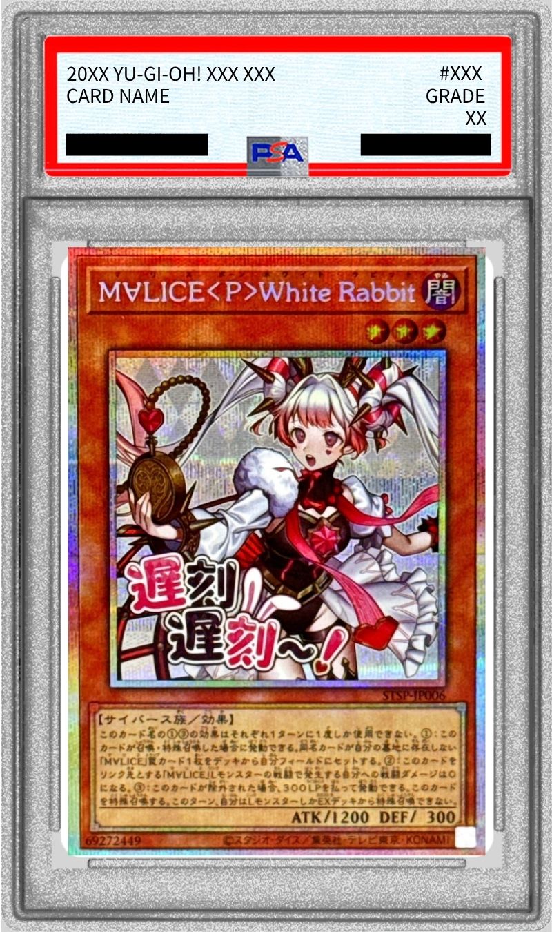 世界で1枚　遊戯王 新鋭の女戦士 23PP レッドシークレット PSA10 PSA10鑑定済〕M∀LICEPWhiteRabbit【プリズマティックシークレット