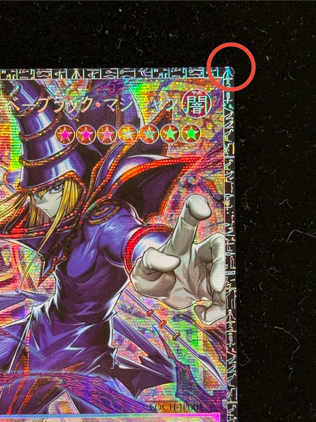 遊戯王 王のしもべーブラックマジシャン 王のしもべ－ブラック・マジシャン | カード詳細 | 遊戯王ニューロン