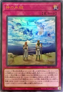 レフトハンド シャーク